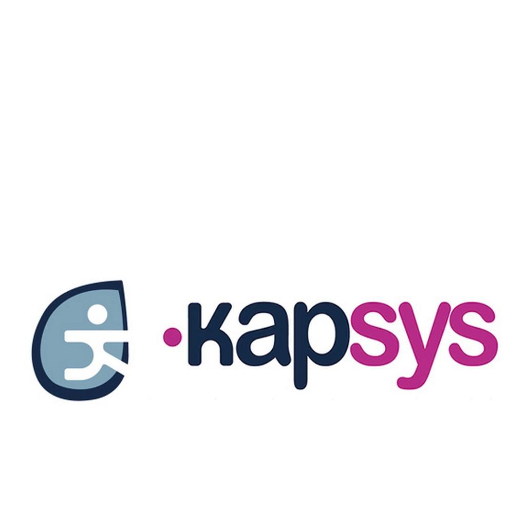 Logo de la société Kapsys