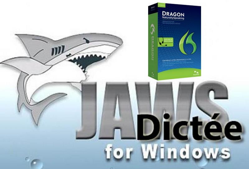 alternatives to dragon naturally speaking software