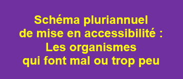 Schéma pluriannuel de mise en accessibilité : les organismes qui font mal ou trop peu.